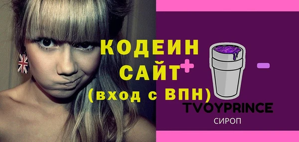 крисы Новозыбков