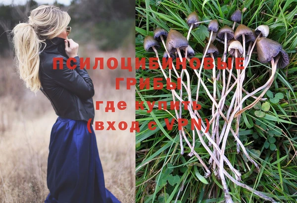 МДПВ Наволоки