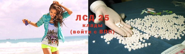 крисы Новозыбков