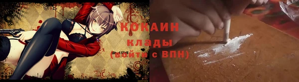 крисы Новозыбков