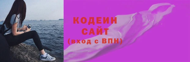 крисы Новозыбков