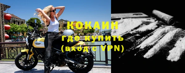 крисы Новозыбков