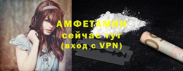 крисы Новозыбков