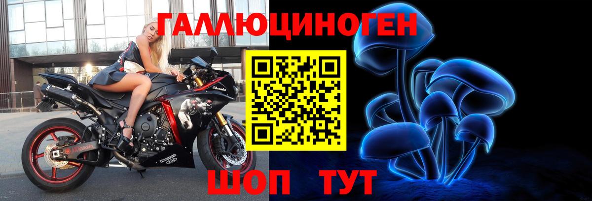 Псилоцибиновые грибы Psilocybine cubensis  Вход с VPN  Россия  Псилоцибиновые грибы мухоморы 